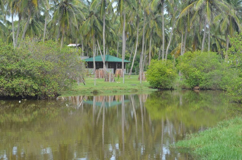 קירינדה Aqua Front Yala Resort מראה חיצוני תמונה