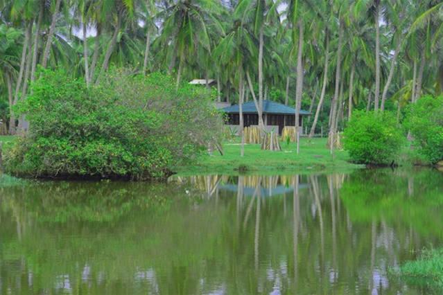 קירינדה Aqua Front Yala Resort מראה חיצוני תמונה